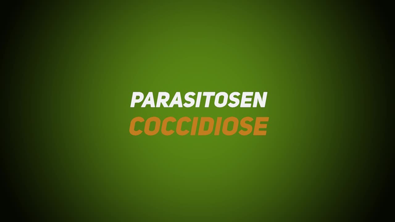 Wildkrankheiten & Wildbrethygiene – Parasitosen – Coccidiose