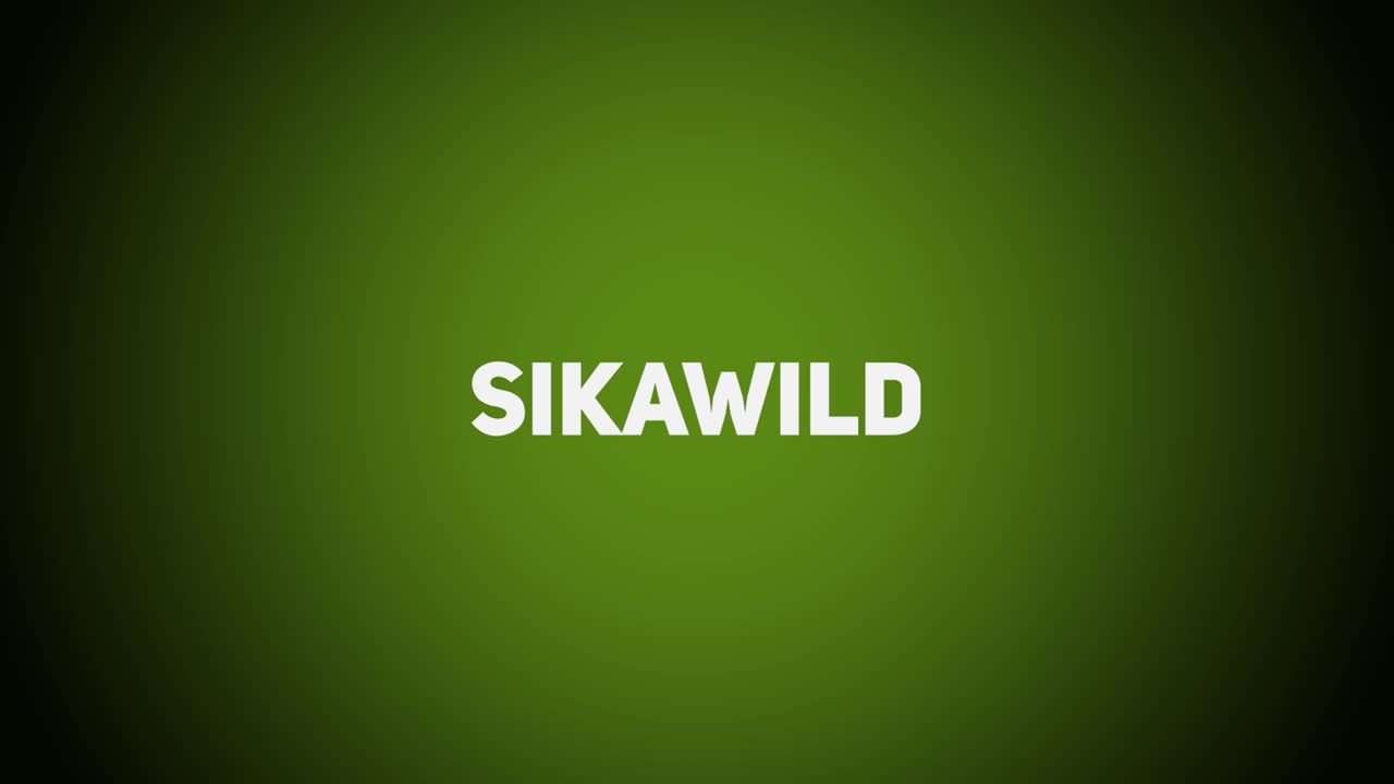 Haarwild – Sikawild