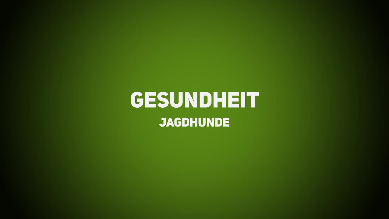 Jagdhunde – Gesundheit