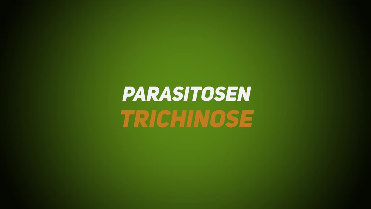 Wildkrankheiten & Wildbrethygiene – Parasitosen – Trichinose