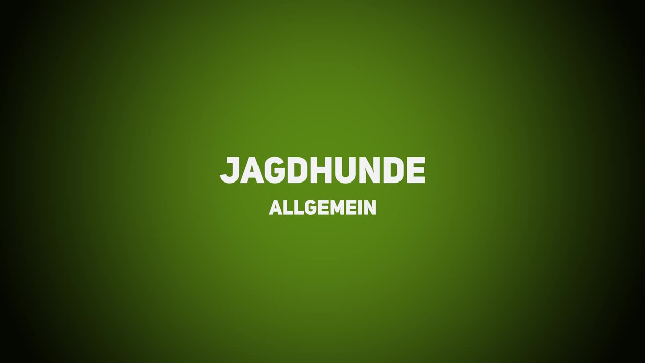 Jagdhunde – Allgemein