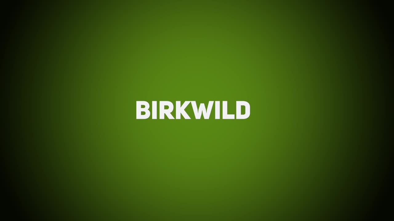 Federwild – Birkwild