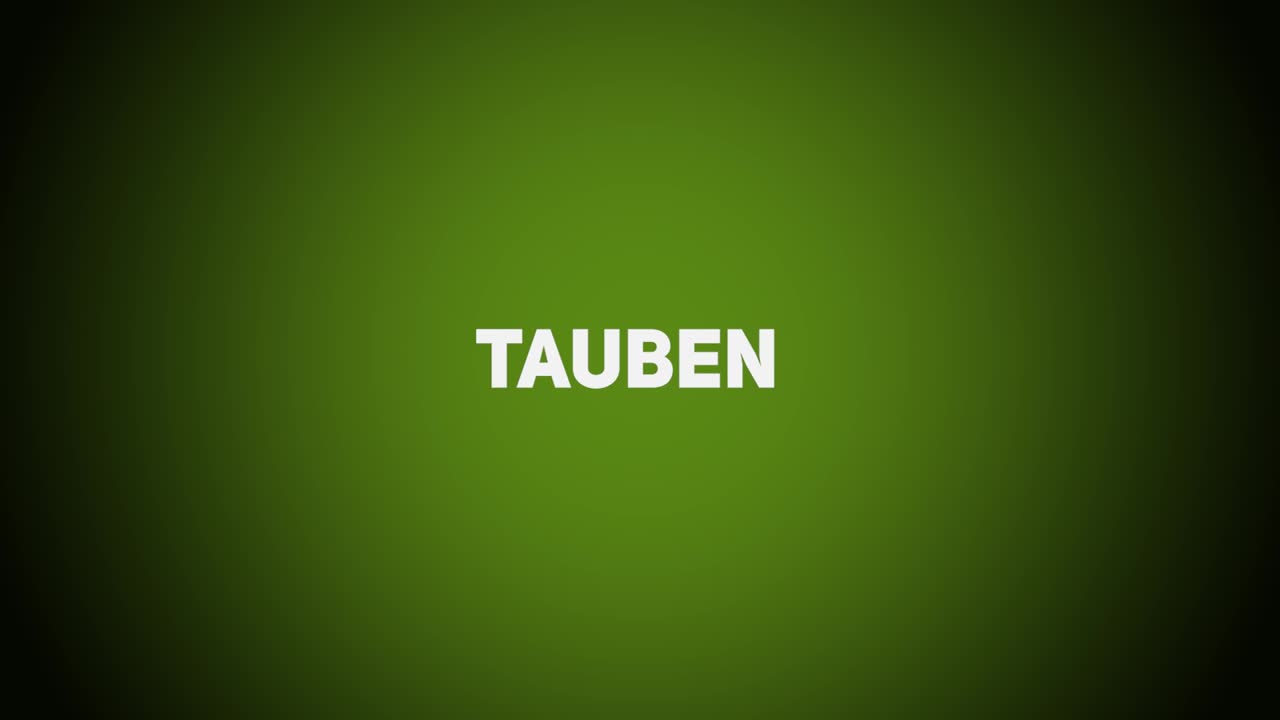 Federwild – Tauben