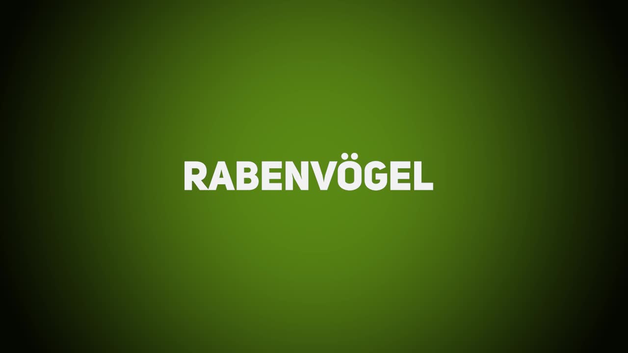 Federwild – Rabenvögel