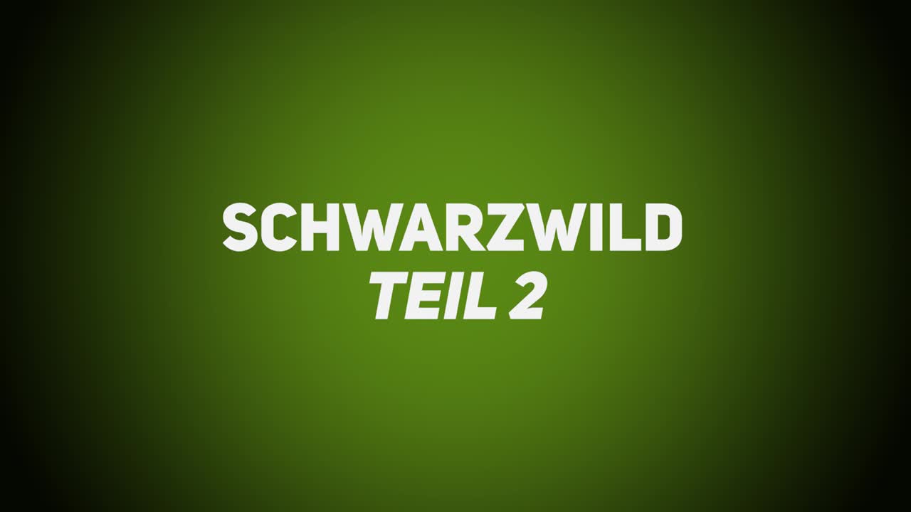 Haarwild – Schwarzwild 2